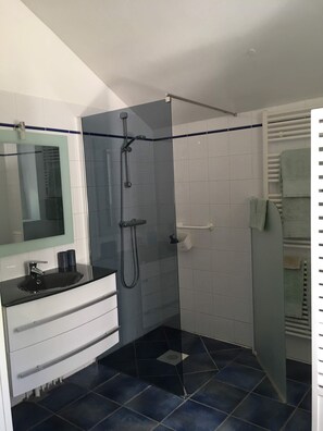 Hair dryer, towels, soap, toilet paper - Gîte La Maison de Philomène (Civray)