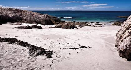 Home in remote Patagonia by the sea