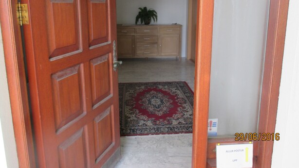 Ein Flur mit Holztür, einem gemusterten Teppich und einem Schrank mit Pflanze.