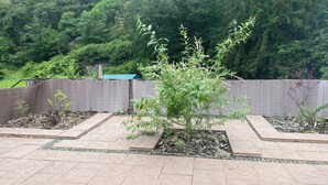 A garden with a small tree in a planter, surrounded by a brick pathway. - Vacation apartment "Pingo" Address: Bundesstraße 1, 53506 Ahrbrück!  (Ahrbrück)