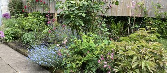 Luxury holiday cottage set in the beautiful south Cornwall village of Flushing