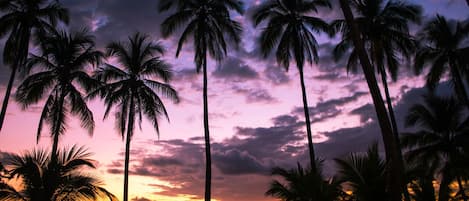 Beach nearby, beach towels