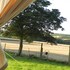 Cosy Glamping 4m Bell Tent in Rural Herefordshire
