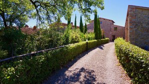 A gravel path leading to a stone building with a tiled roof, surrounded by lush greenery and tall trees. - Serena al Casalone, Design apartment in Private Chianti Estate, pool WIFI A/C (San Gusme)