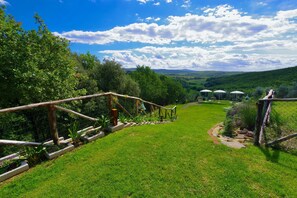 Terrain de l’hébergement 