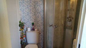 A bathroom with a toilet, a shower enclosure, and a tiled wall.