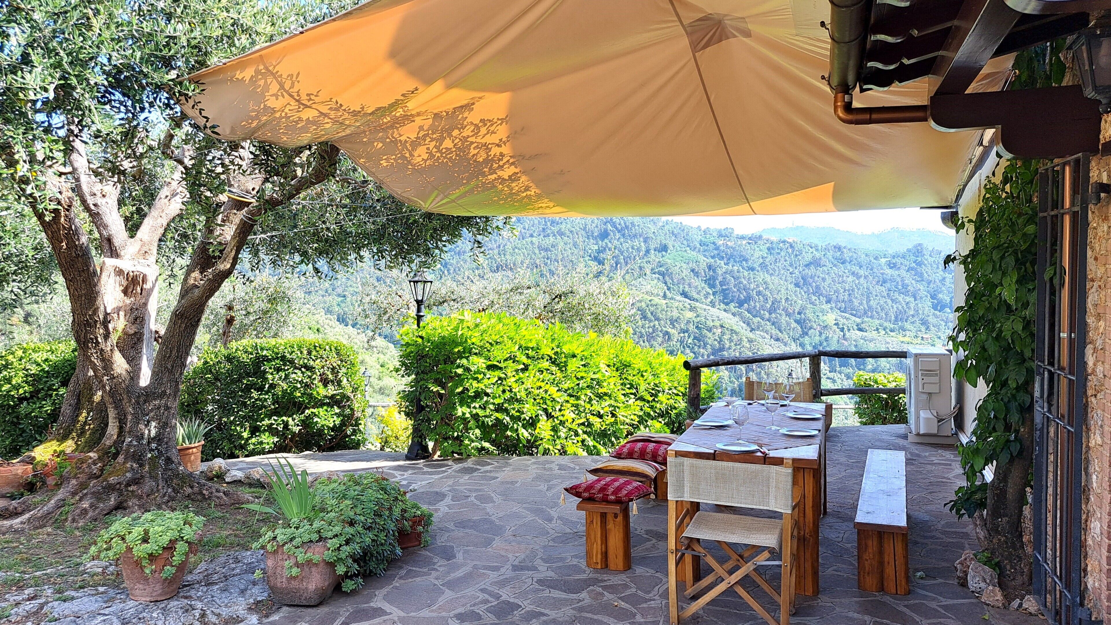 Une terrasse extérieure avec une table dressée pour le repas, entourée de plantes en pot et offrant une vue sur un paysage montagneux.