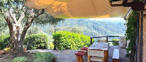 An outdoor patio with a table set for dining, surrounded by potted plants and a view of a mountainous landscape.