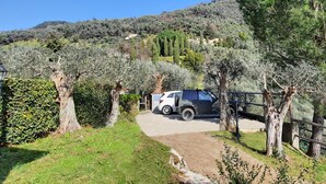 A paved path leading to a parked SUV, surrounded by olive trees and a fence. - Mild hills Villa, on the Tuscany coast with brand new panoramic private pool (Camaiore)