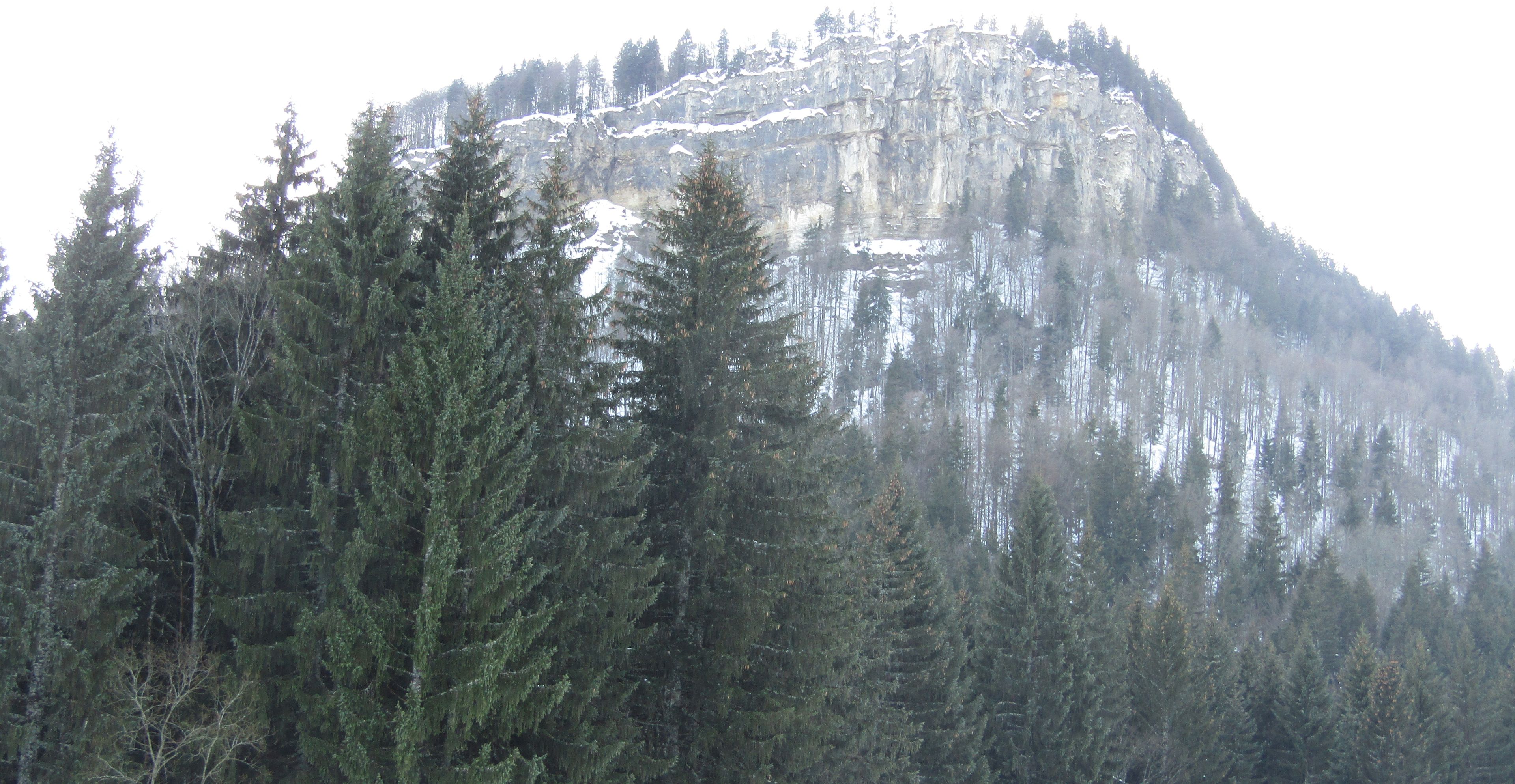 Ein Berg mit bewaldeter Basis, felsigem Gipfel und einem Zeitstempel vom 23.12.2017.
