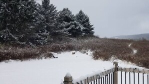 Paisaje nevado con una valla de madera en primer plano y una fila de árboles de hoja perenne al fondo.