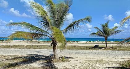 Princess Coco,  sea view and direct access to Orient Bay beach