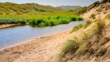 Appartamento City, bagno privato, vista giardino (Peaceful Ferryhill) | Varie