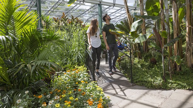 Un invernadero con techo de cristal, rodeado de diversas plantas y flores.