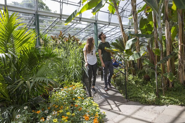 Apartament urbà, bany privat, vistes al jardí (Peaceful Ferryhill) | Altres