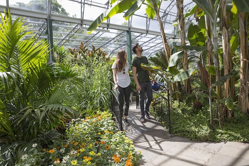 City Apartment With Rural Charm