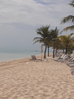 On the beach