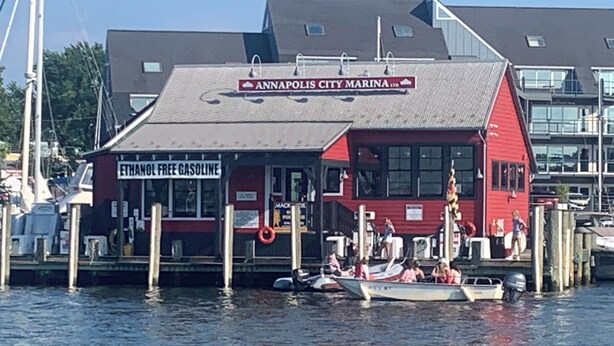 A marina with a red building labeled 'Annapolis City Marina' and a sign for 'Ethanol Free Gasoline.' Boats are docked in front. - Cozy Condo Near City Dock - Your Perfect Annapolis Getaway! (Annapolis)