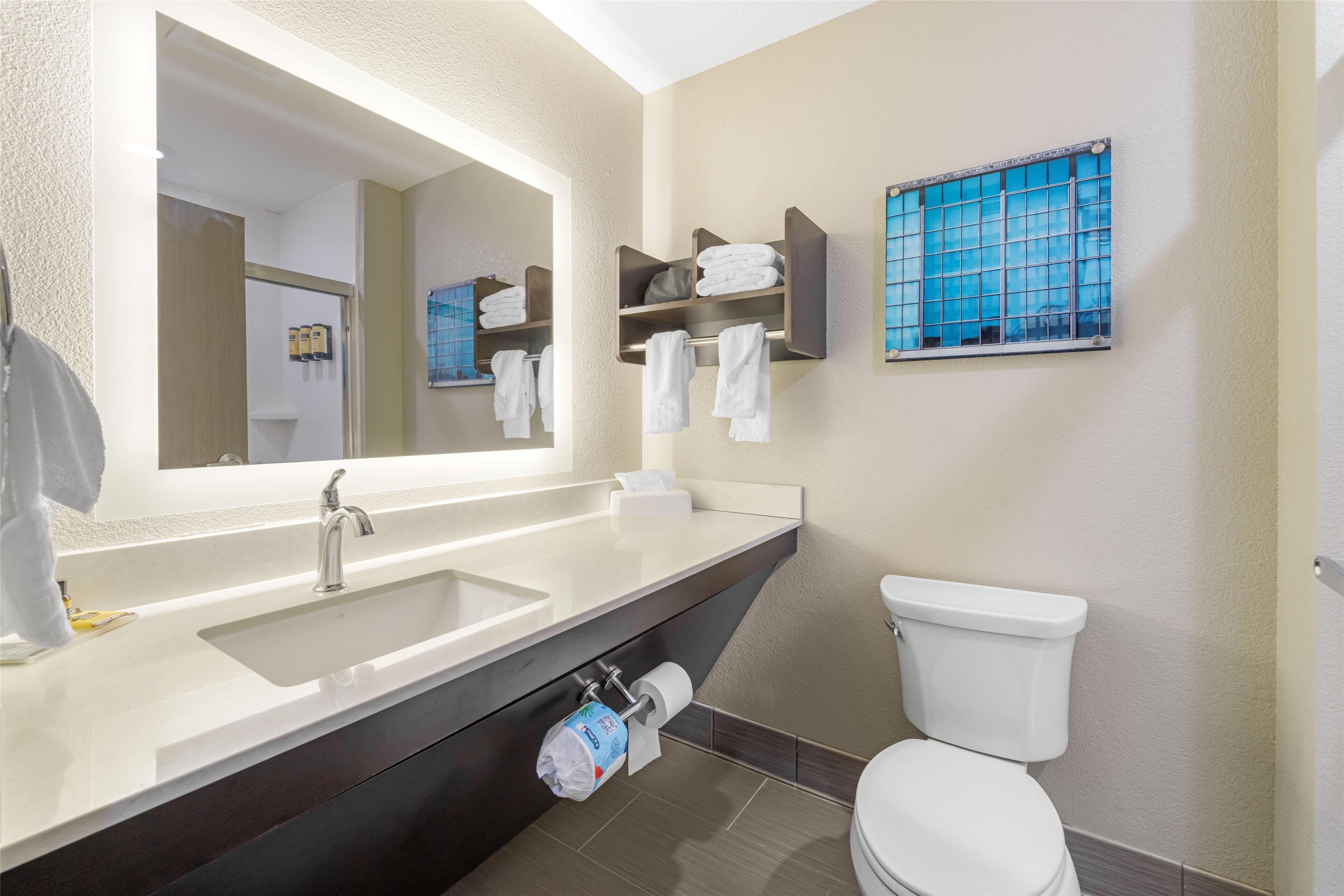 suite, 1 king bed with sofa bed, non smoking, refrigerator & microwave (with sofabed) | bathroom | hydromassage showerhead, hair dryer, towels, soap