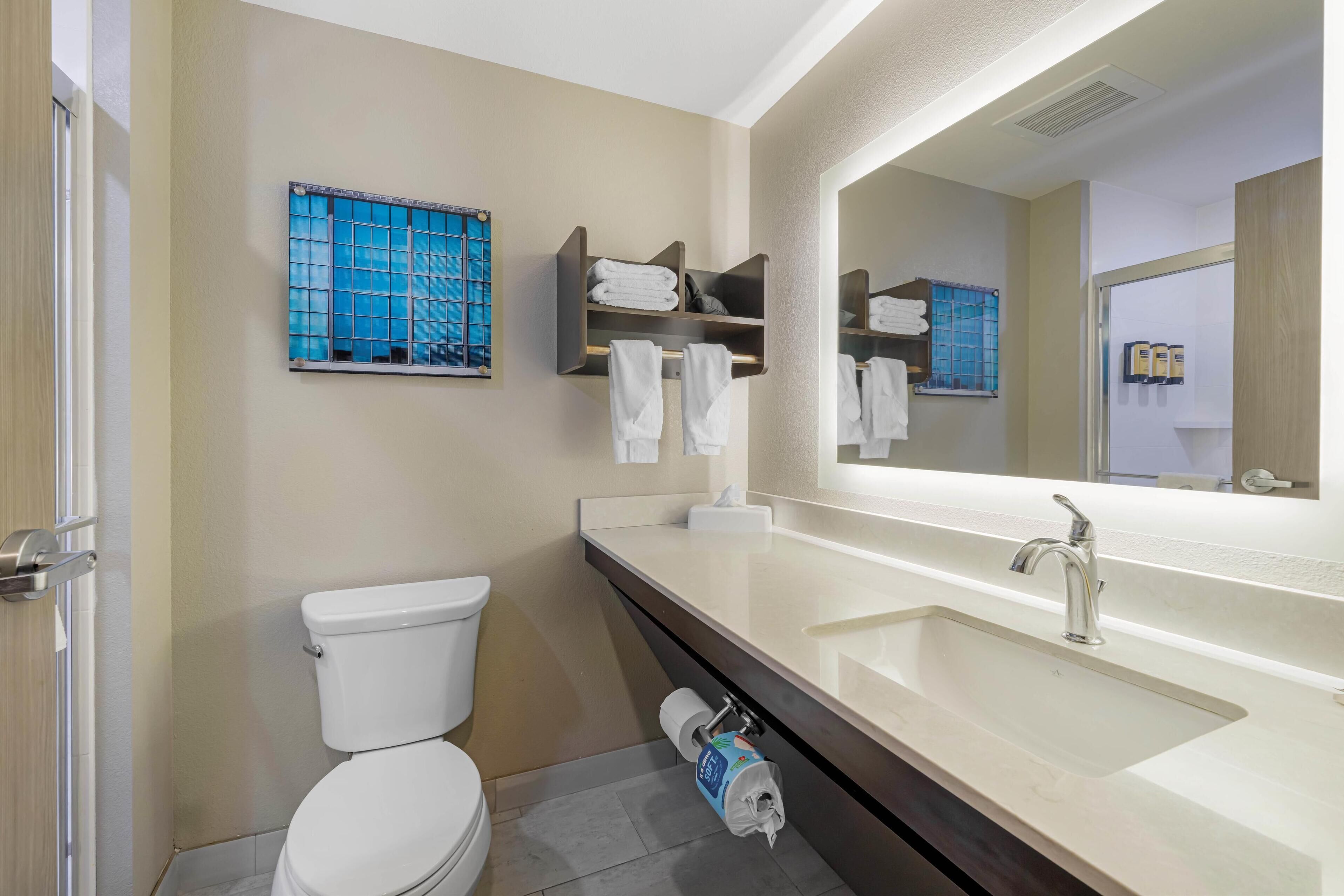 standard room, 1 king bed, non smoking, refrigerator & microwave (walk-in shower) | bathroom | hydromassage showerhead, hair dryer, towels, soap