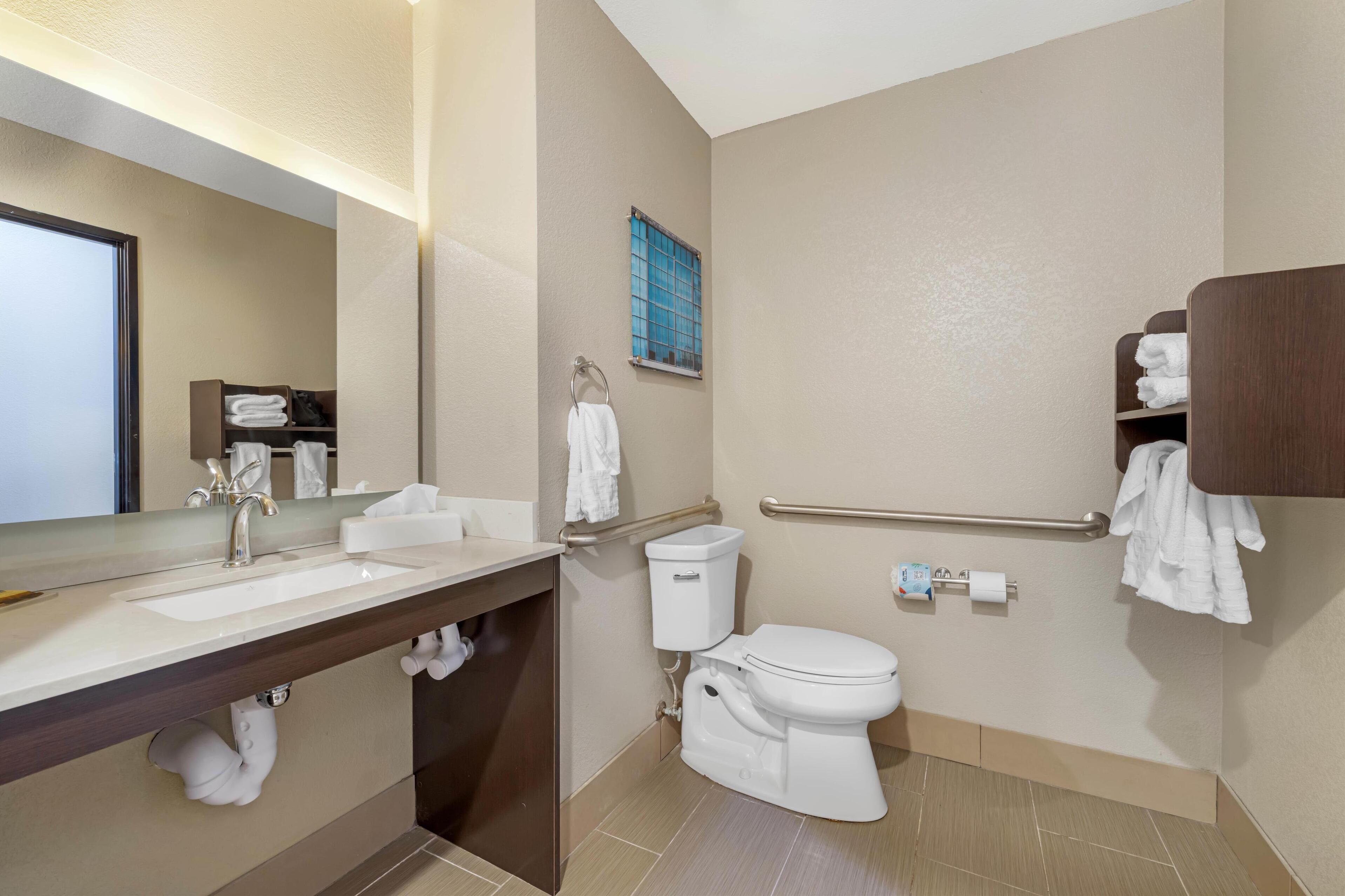 standard room, 1 king bed, accessible, refrigerator & microwave | bathroom | hydromassage showerhead, hair dryer, towels, soap