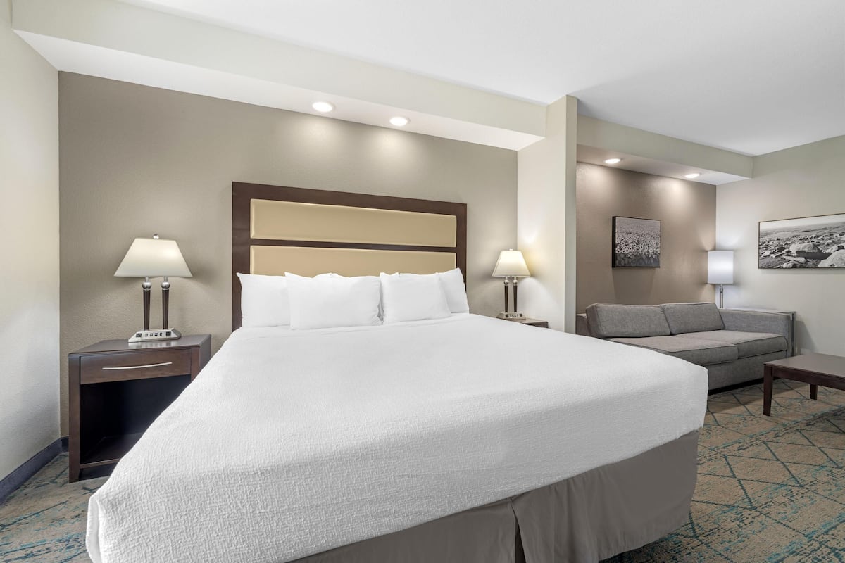 A hotel room with a large bed, two bedside tables with lamps, a grey sofa, and a patterned carpet.