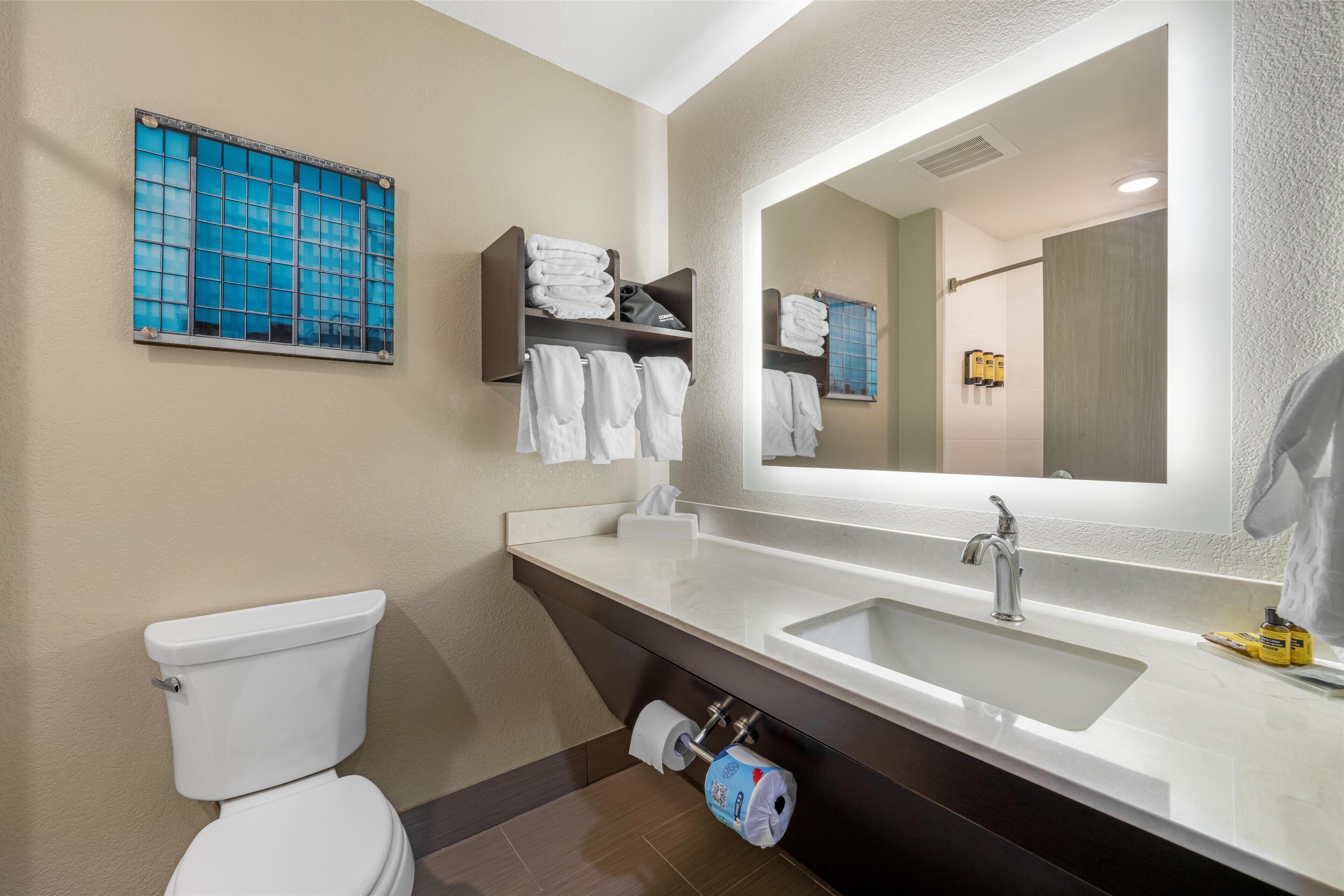 suite, 2 queen beds, non smoking, refrigerator & microwave (with sofabed) | bathroom | hydromassage showerhead, hair dryer, towels, soap