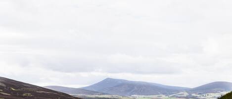 A rural landscape with rolling hills and a mountain in the background.