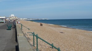 A pebbled beach with a promenade, benches, and a railing. - With spectacular sea views the flat is literally across the road from the Beach. (Hove)