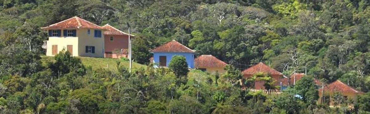 Imagen de perfil del propietario o de la propietaria