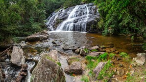 A waterfall in a forested area with rocks and greenery. - Duplex apartment in a guesthouse in the Bocaina mountains with a view of the lake. (Bananal)