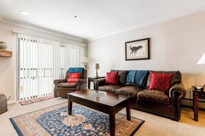 تلفزيون ذكي، مدفأة، مشغل دي في دي، كُتُب