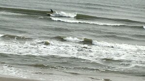 A beach with waves and a person surfing. - Mermaid Landing Beachfront Condo with WIFI, Pools, and Hot Tub (Galveston)