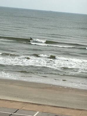 On the beach, sun-loungers, beach towels - Mermaid Landing Beachfront Condo with WIFI, Pools, and Hot Tub (Galveston)