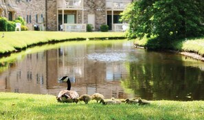 Property grounds - Surfside Beach Summer Escape! Deluxe 2 BDR 2 Bath, 7nts  June 29 2026 - Promos! (Surfside Beach)