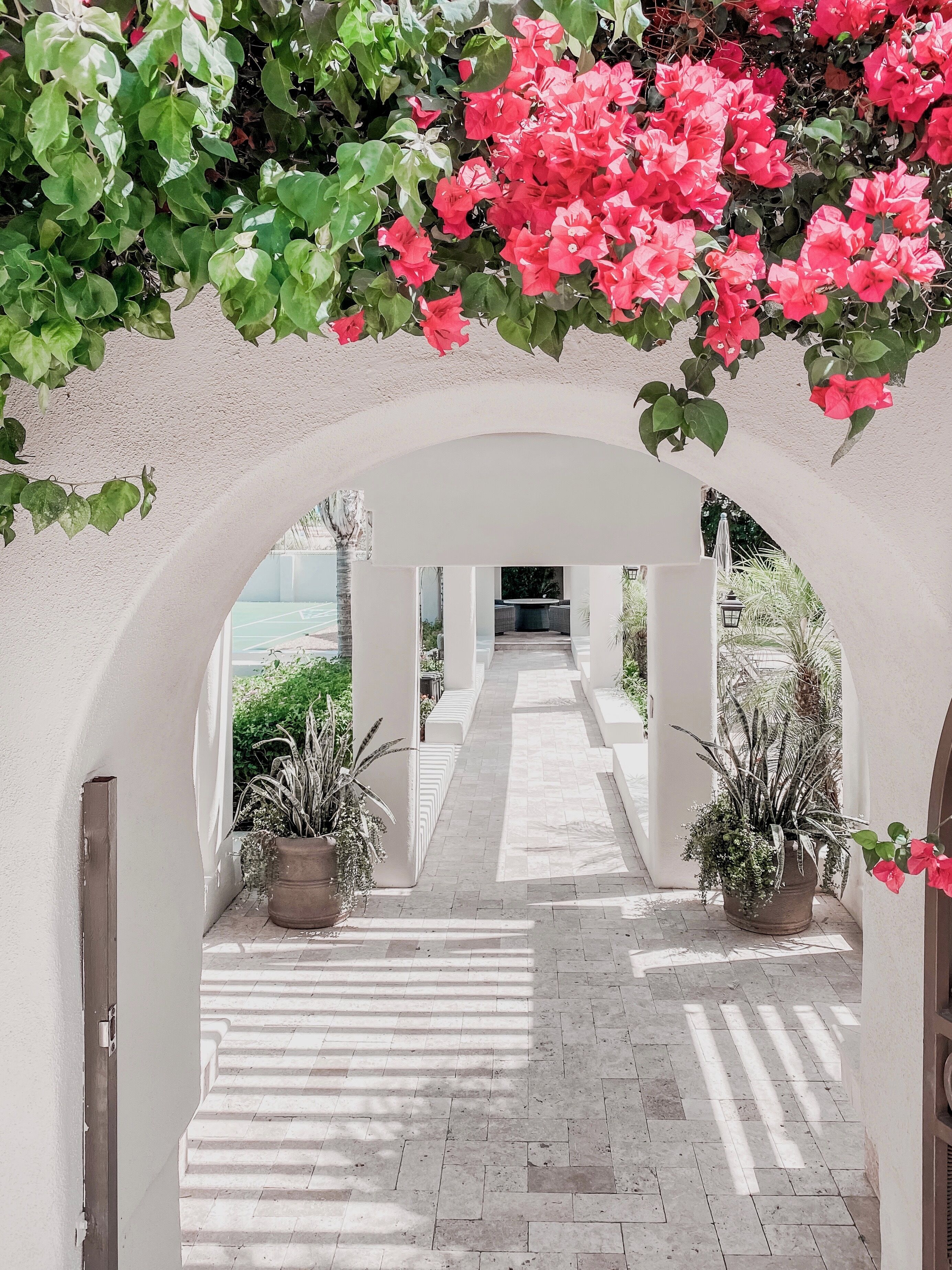 Parco della struttura