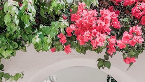 Un sentier en arc bordé de plantes en pot, d’où l’on aperçoit un bâtiment au loin.