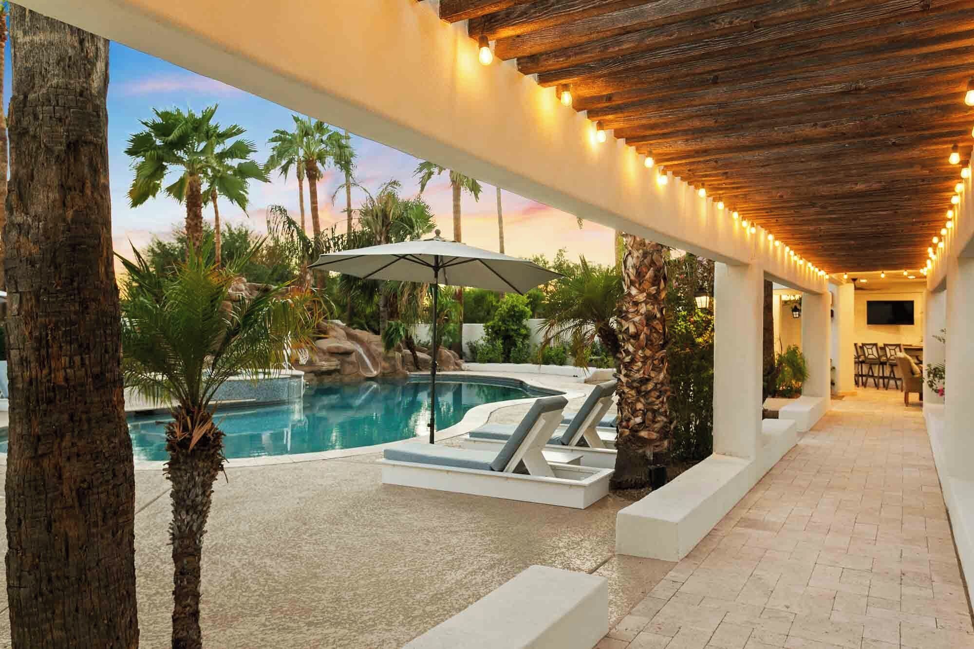 Ein Poolbereich mit Liegestühlen, einer Palme und Blick auf den Pool.
