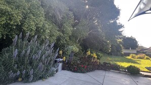 Un jardin où l’on trouve une grande variété de plantes et une sculpture en métal.