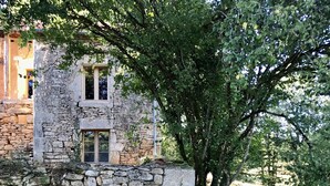 Un edificio de piedra con una ventana y un árbol delante.