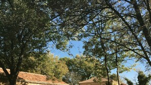 Un edificio rústico de piedra con tejado de tejas, rodeado de árboles y hierba.