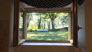 Una ventana con cortina a cuadros, vista de un patio cubierto de césped con un banco y un árbol.