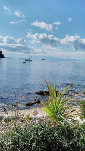 Beach nearby - Apartment 1, located 200 meters from the sea in character house.  (Rovinj Borik)