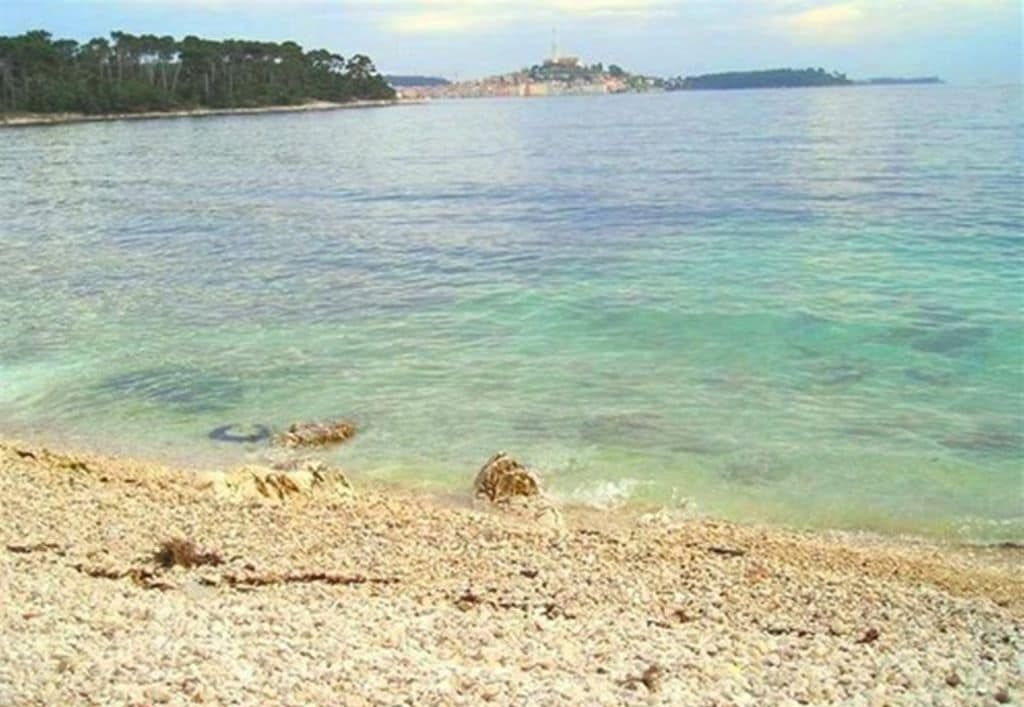 A beach with clear water and a distant island.