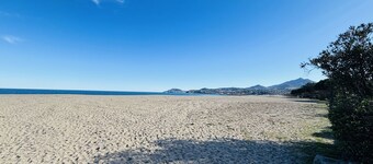 Argelès-sur-Mer: T2 bis apartment, beachfront