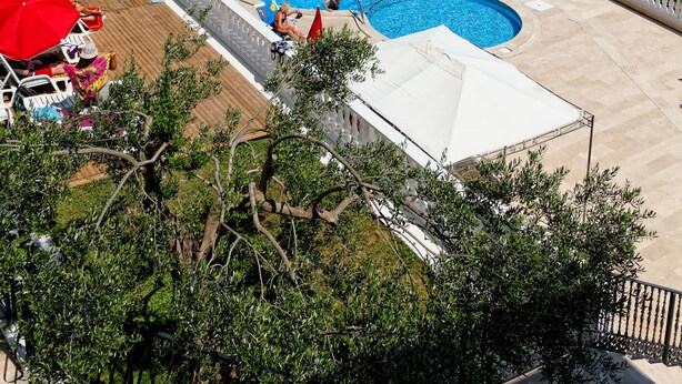A pool area with a curved design, surrounded by a white fence, overlooking a body of water with boats and a distant town.