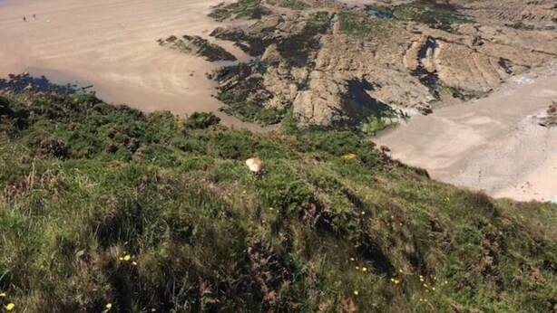 Un paisaje costero con una playa de arena, afloramientos rocosos y colinas cubiertas de hierba.