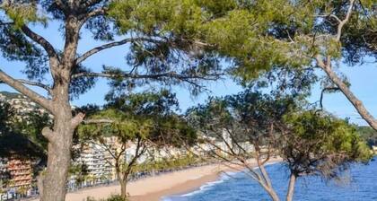 Lloret Holiday Rentals Villa Olombel