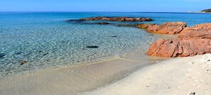 Playa en los alrededores y camastros 