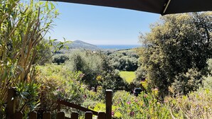 A view from under a canopy, overlooking a lush landscape with trees and a distant hill. - Apartment **** sea view in the heart of the Corsican maquis, 5 mm from the beach (Cargèse)